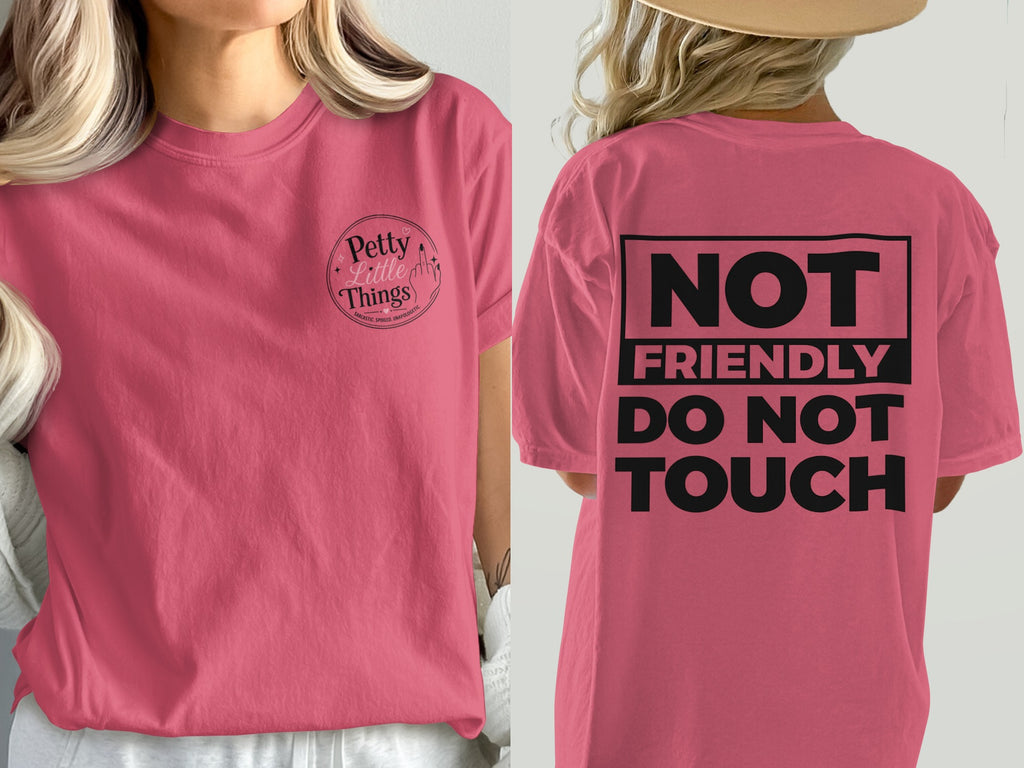 Pink t-shirt with "Petty Little Things" on front and "Not Friendly Do Not Touch" on back.